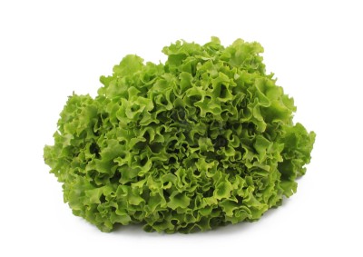 Салат айсберг 300 г - купить в Терешковке